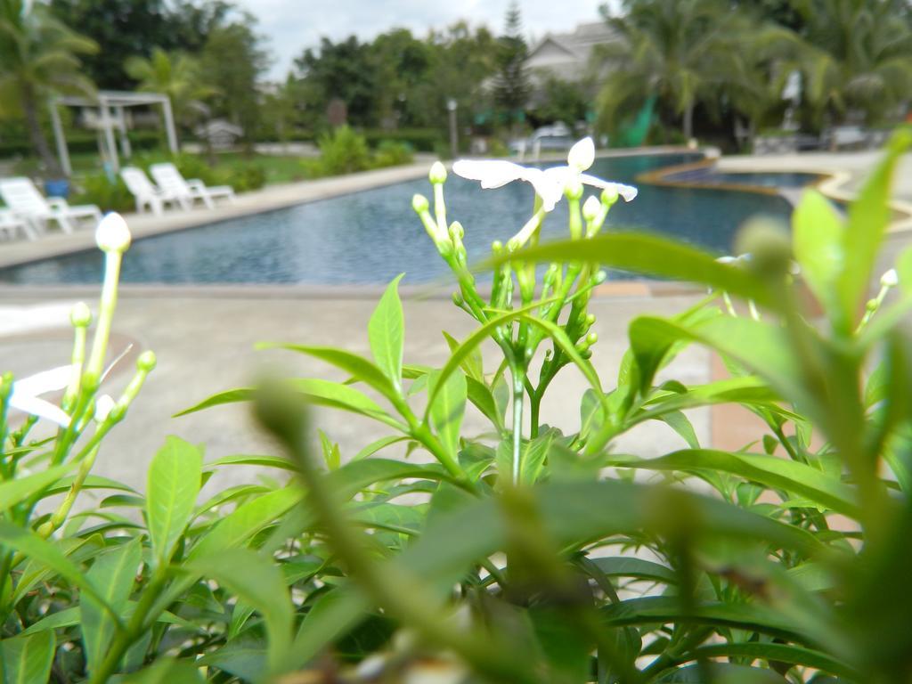 Pai Iyara Resort Bagian luar foto
